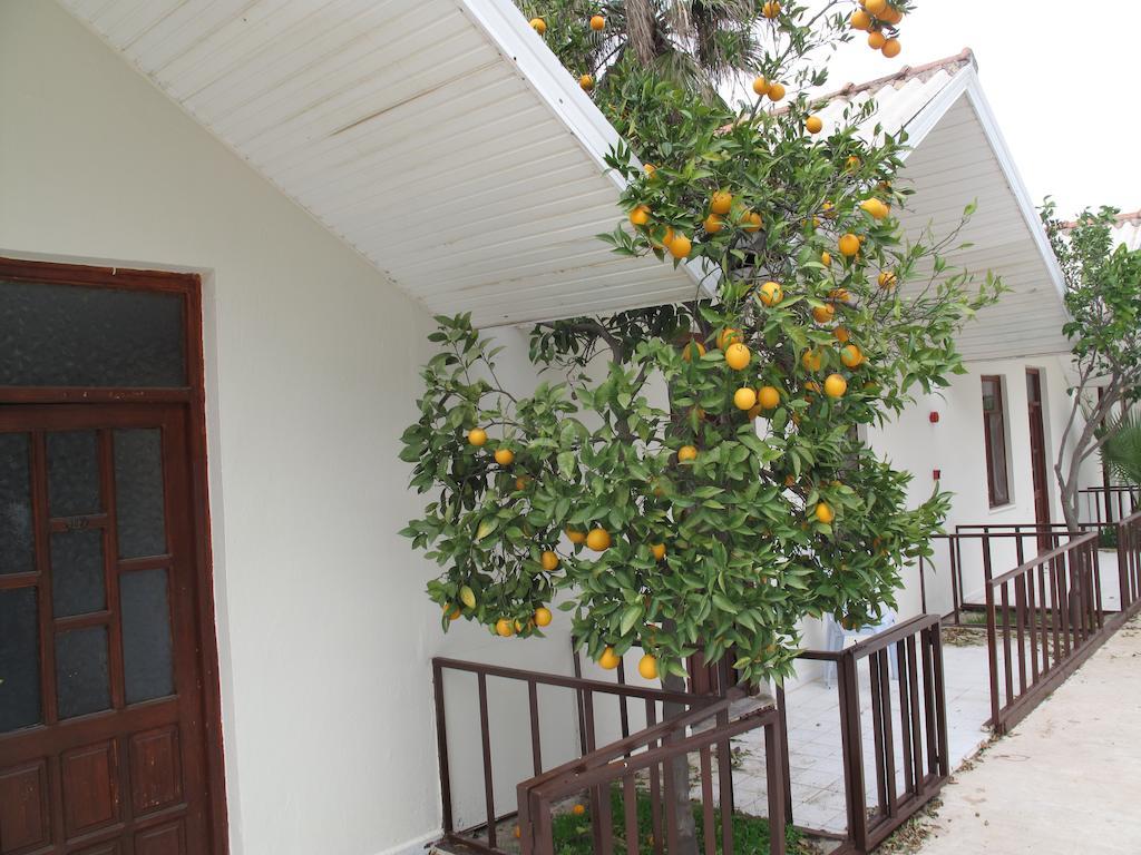 Dream Park Bungalow Titreyengol Экстерьер фото