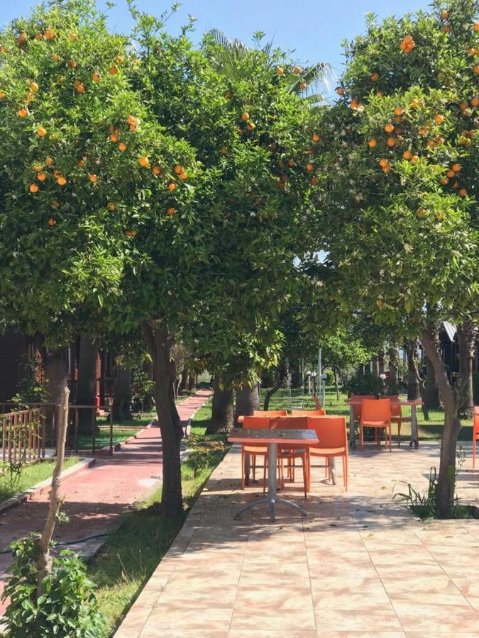 Dream Park Bungalow Titreyengol Экстерьер фото