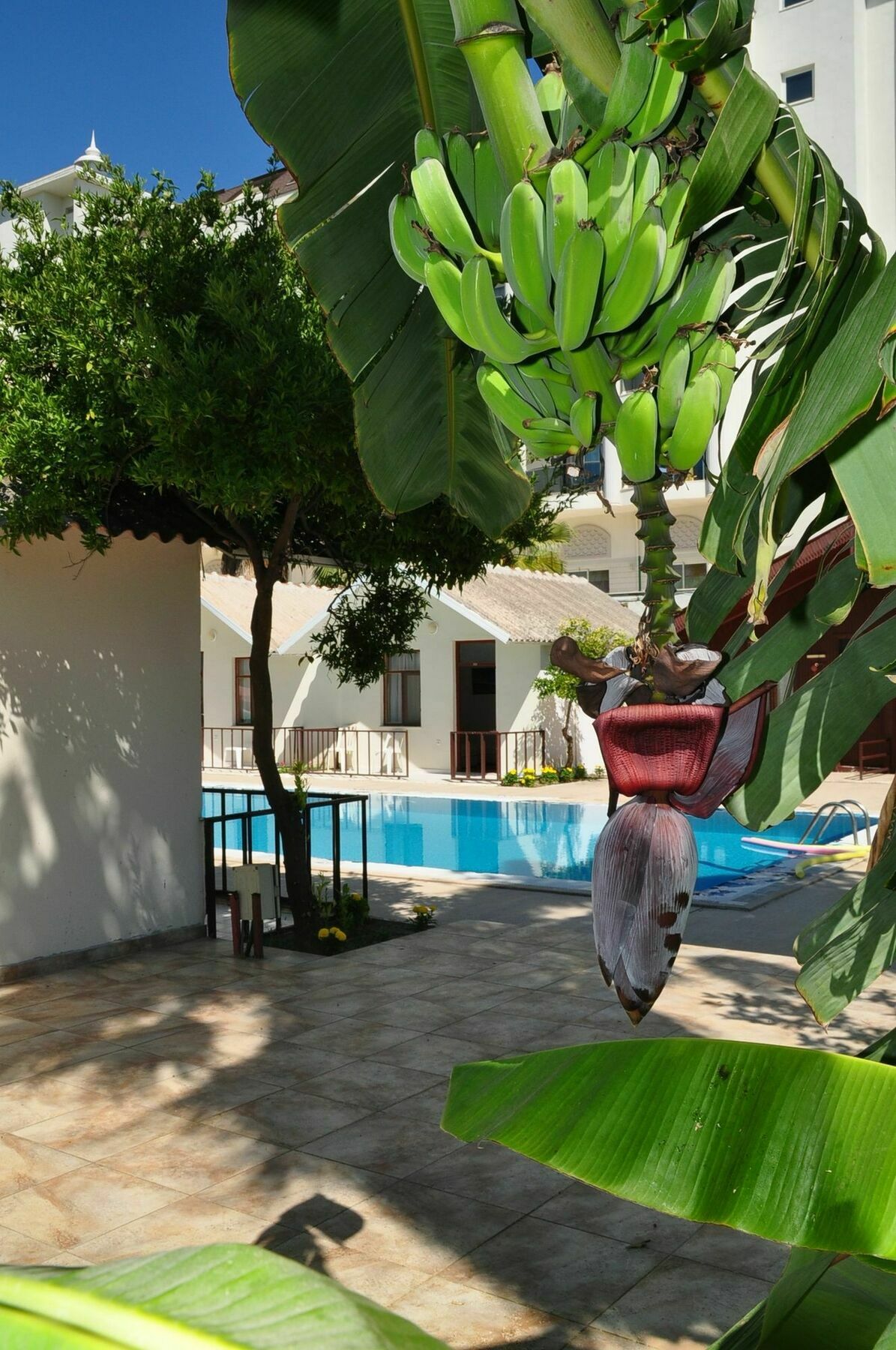 Dream Park Bungalow Titreyengol Экстерьер фото